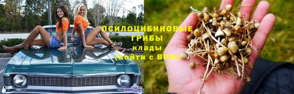 спиды Протвино